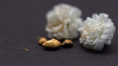 From Trash To Treasure: New Method Turns Electronic Waste .